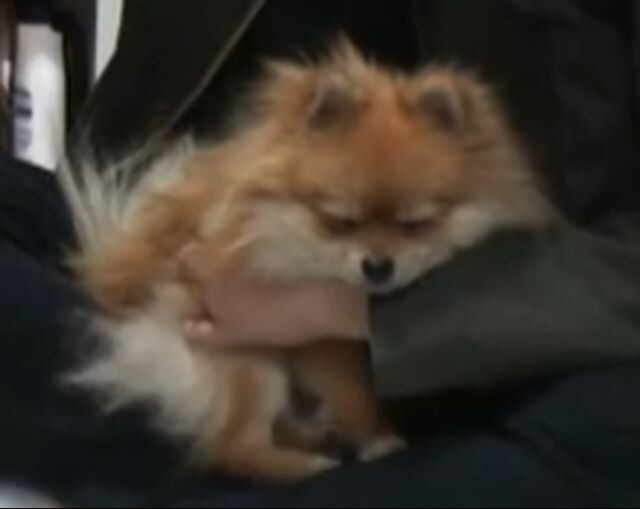 그것이 알고 싶다 명장면.jpg_4.jpg