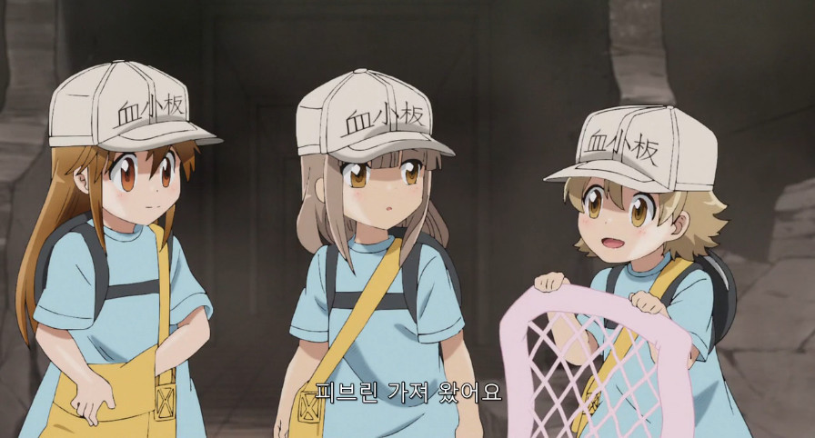 상처치료 과정에 대해 알아보자.jpg_2.jpeg