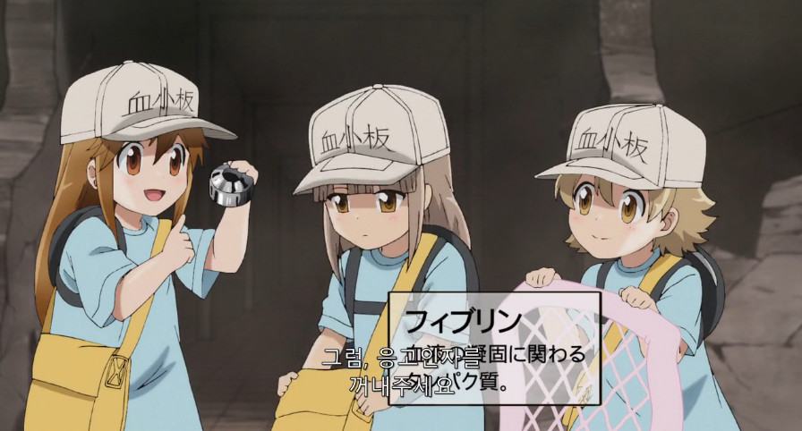 상처치료 과정에 대해 알아보자.jpg_3.jpeg