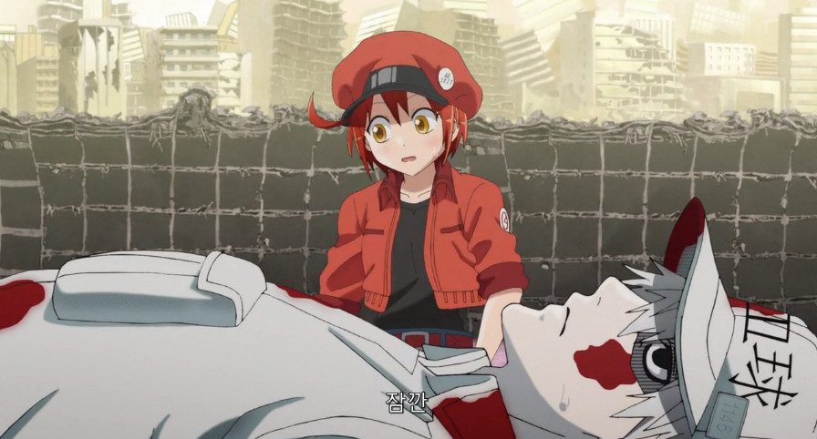 상처치료 과정에 대해 알아보자.jpg_8.jpeg