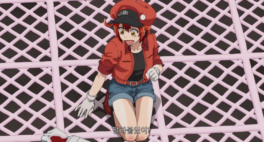 상처치료 과정에 대해 알아보자.jpg_9.jpeg