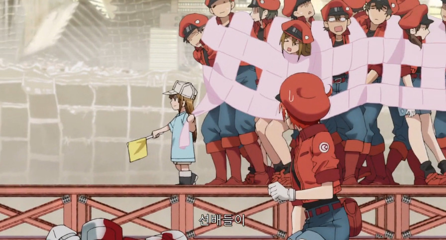 상처치료 과정에 대해 알아보자.jpg_11.jpeg