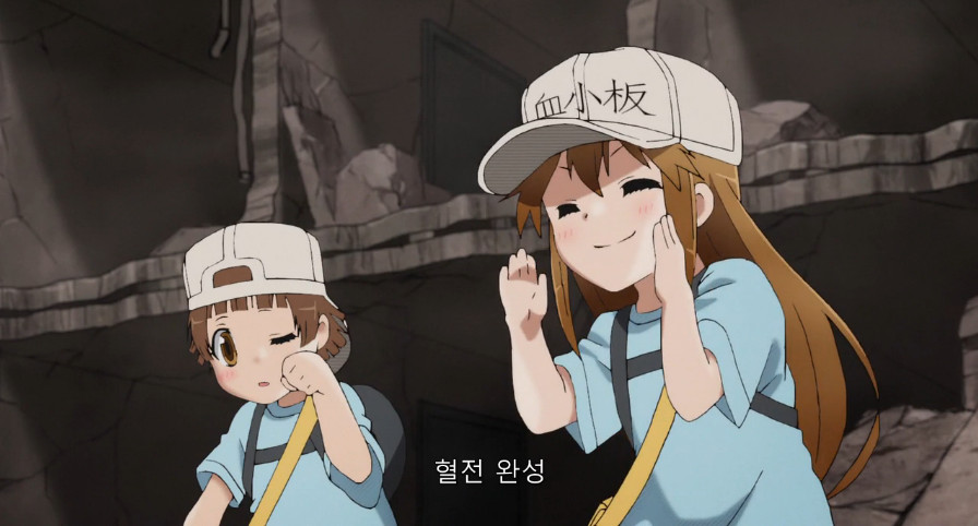 상처치료 과정에 대해 알아보자.jpg_13.jpeg