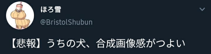 우리집 개가 합성짤같다_1.jpg