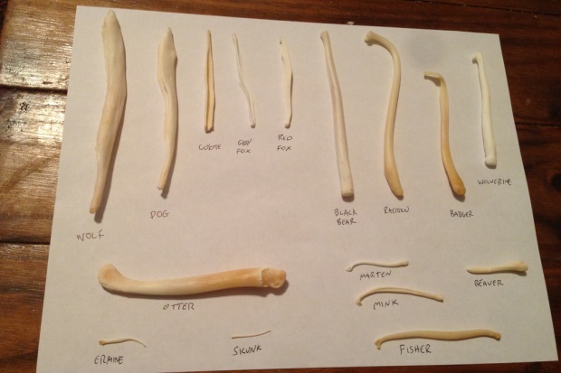 고추고추 하니까 안짤리는 동물성기짤_3.jpg