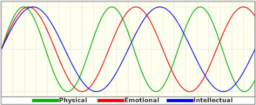 전자기기 보급과 함께 다들 열광했던 점술_1.jpg