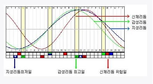 전자기기 보급과 함께 다들 열광했던 점술_2.jpg