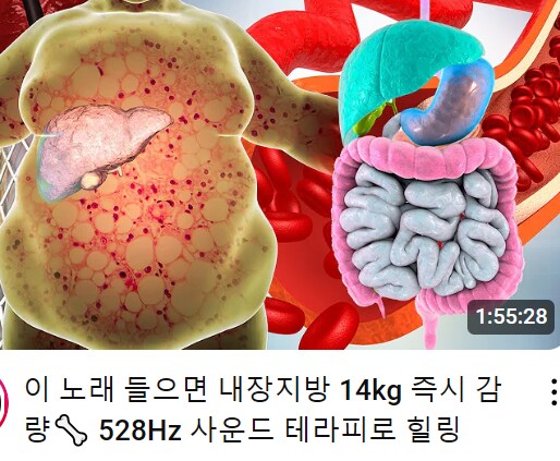 힘들게 다이어트 하는 시대는 지났다. 위고비 보다 효과가 좋은 이것..._1.png