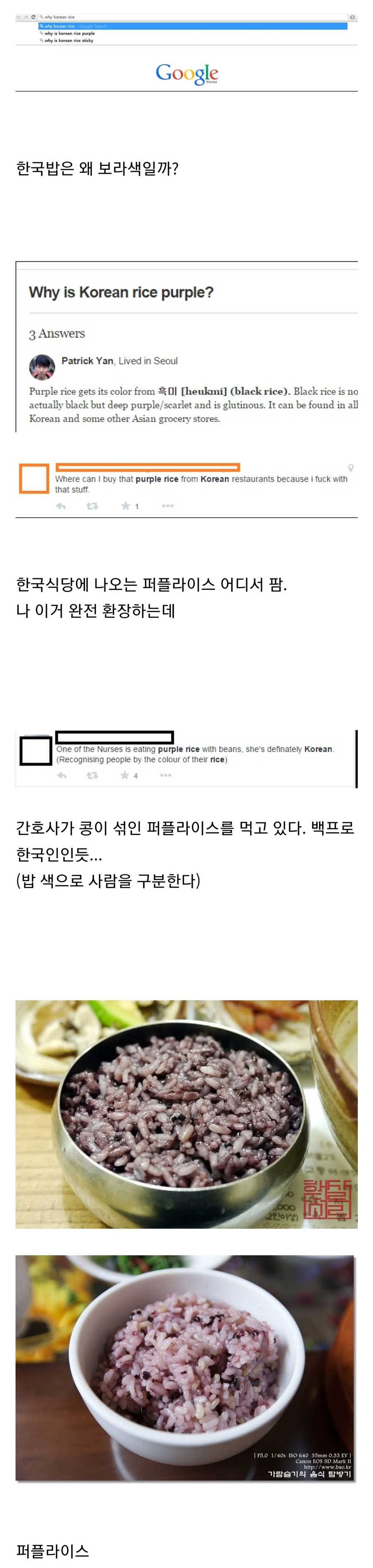 미국인이 신기해하는 한국의 밥_1.webp