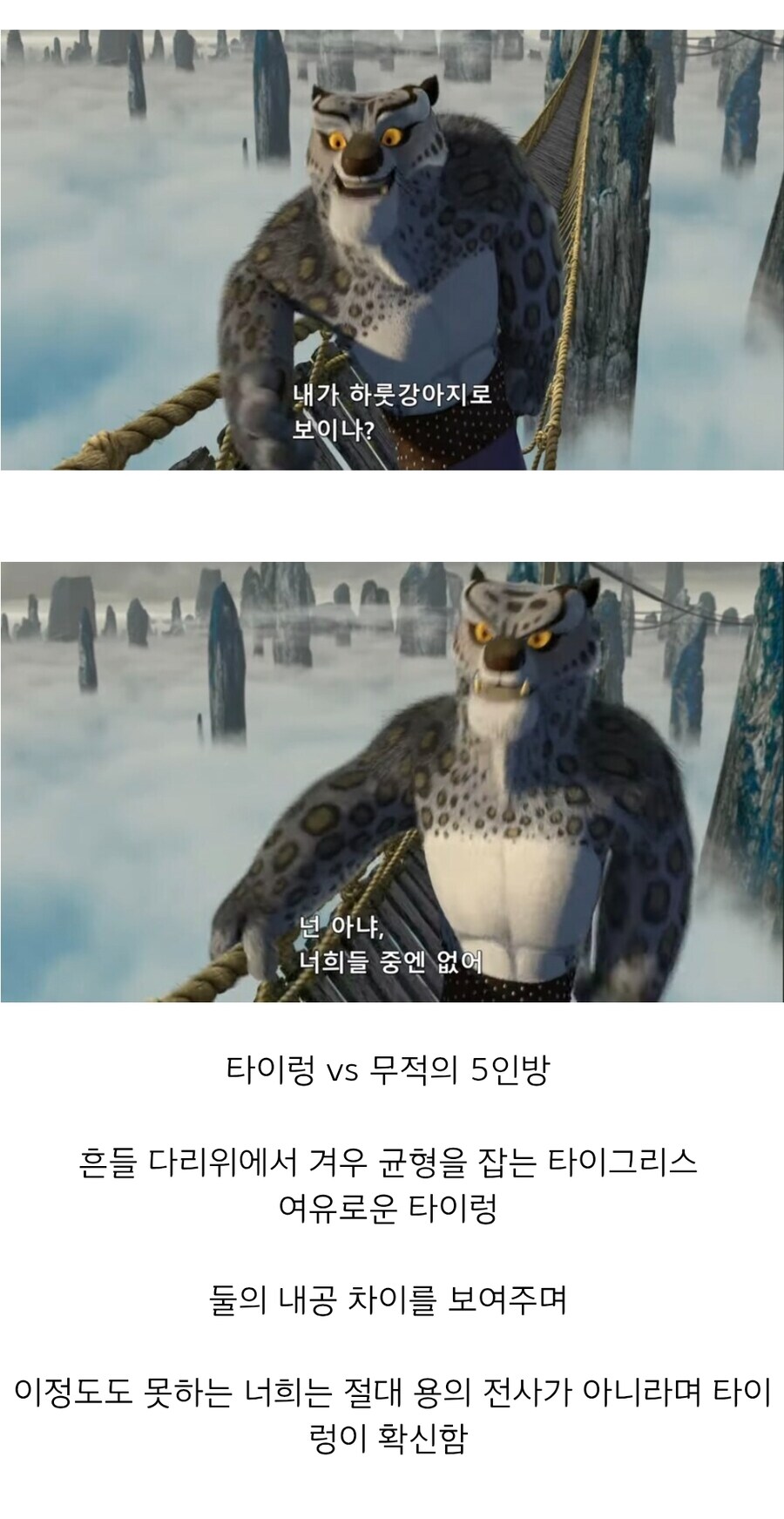 쿵푸팬더) 주인공 특색이 뚜렷한 장기 시리즈 특_2.jpg