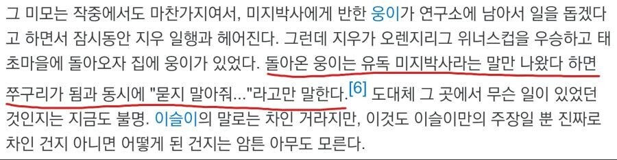 무인편 포켓몬 애니의 맥거핀.jpg_6.jpg