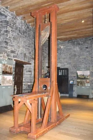 의도는 선했던 발명품들_1.webp