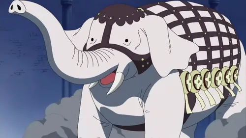 원피스 악마의 열매의 오랜 떡밥중 하나.jpg_4.webp