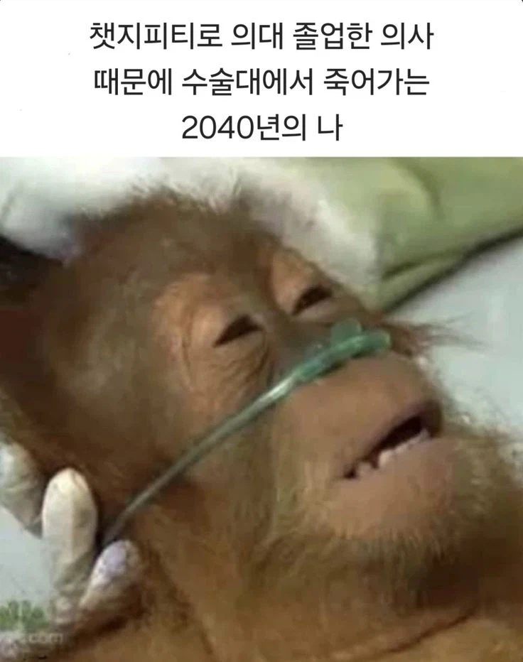 챗지피티의 미래_1.webp