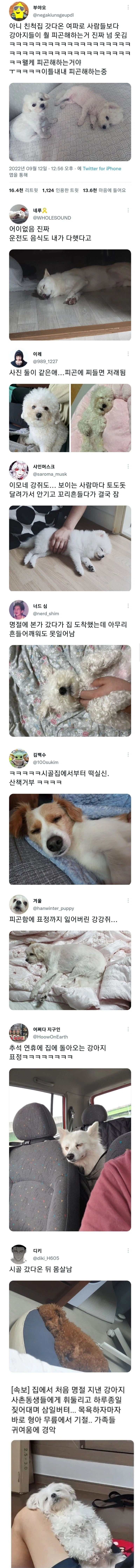 의외로 명절 기간 때 제일 고생하는 가족 구성원_1.webp