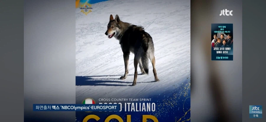 금년 올림픽에서 늑대한테 먹일뻔한 두 선수들_3.webp
