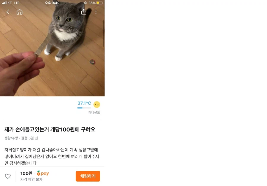 당근 : 100원에 전부 ㅅㅅㅅㅅㅅㅅㅅ.img_1.webp