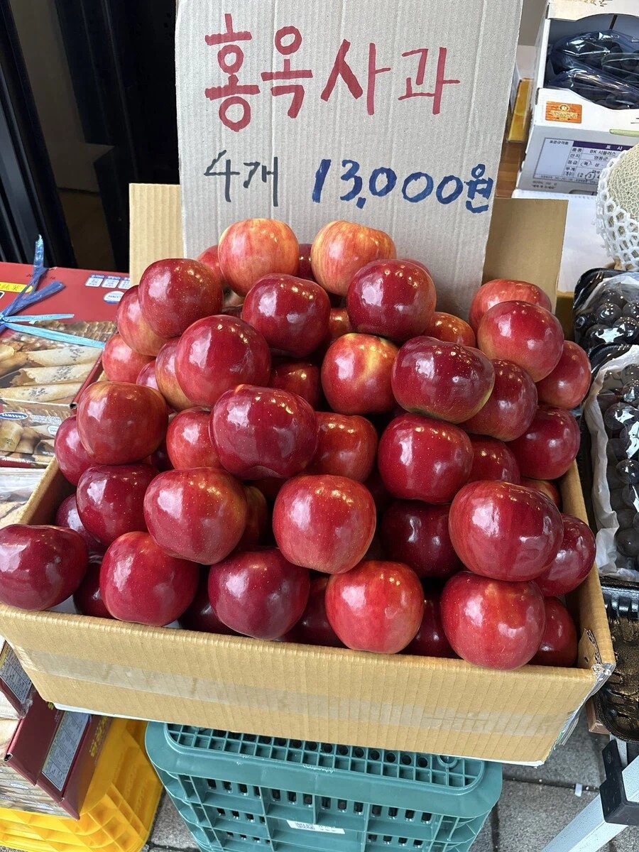 사과문은 아니지만 개쩌는 사과짤입니다..._1.webp