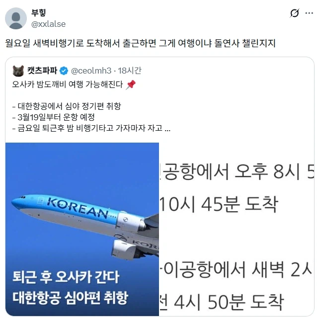 오사카 밤도꺠비 여행 가능해진다.jpg_4.webp