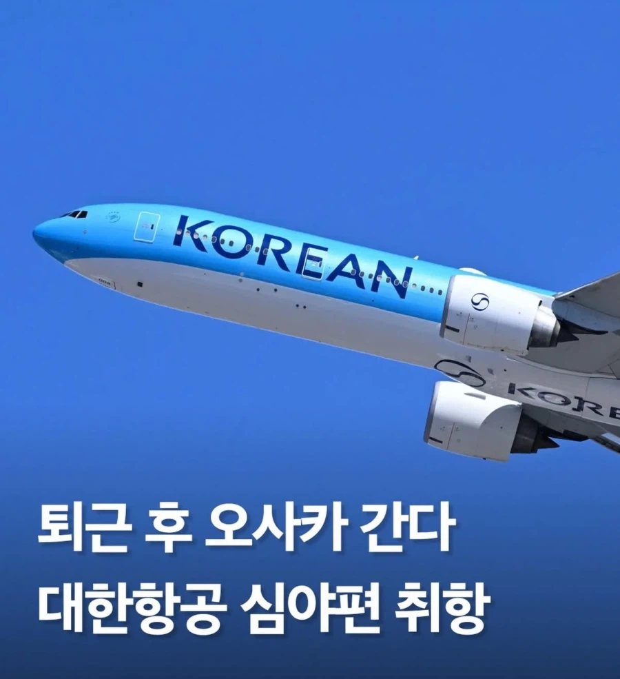 오사카 밤도꺠비 여행 가능해진다.jpg_2.webp