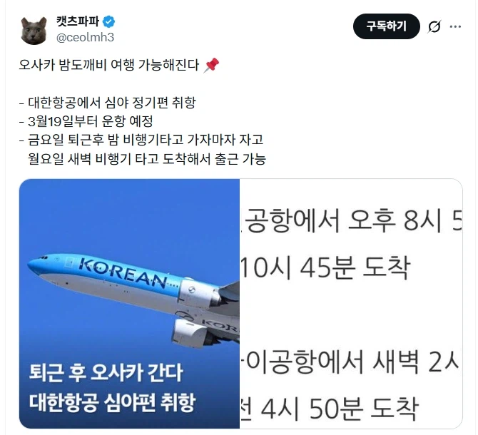 오사카 밤도꺠비 여행 가능해진다.jpg_1.webp