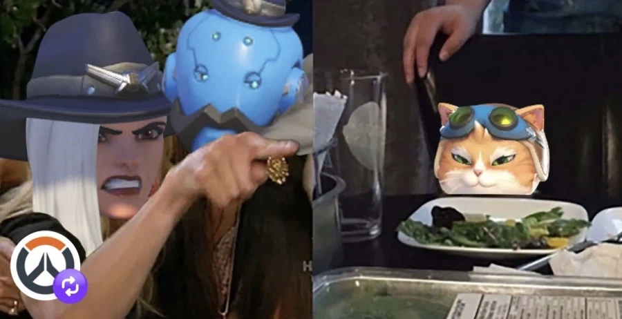 오버워치 고양이 밈_1.webp