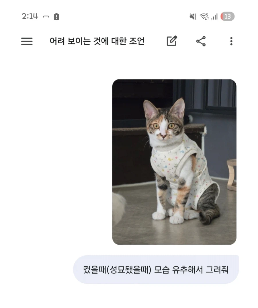 ai) 고양이가 컸을때의 모습을 보여줘_1.webp