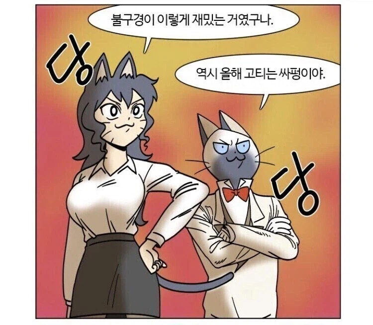 망조의 고양이는 좀 억울할수도 있음_2.webp