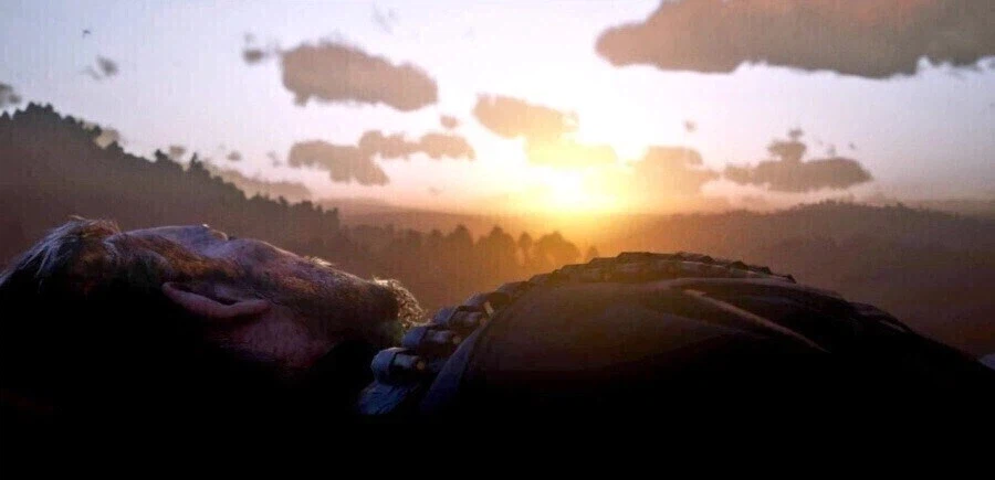 망조의 고양이는 좀 억울할수도 있음_4.webp