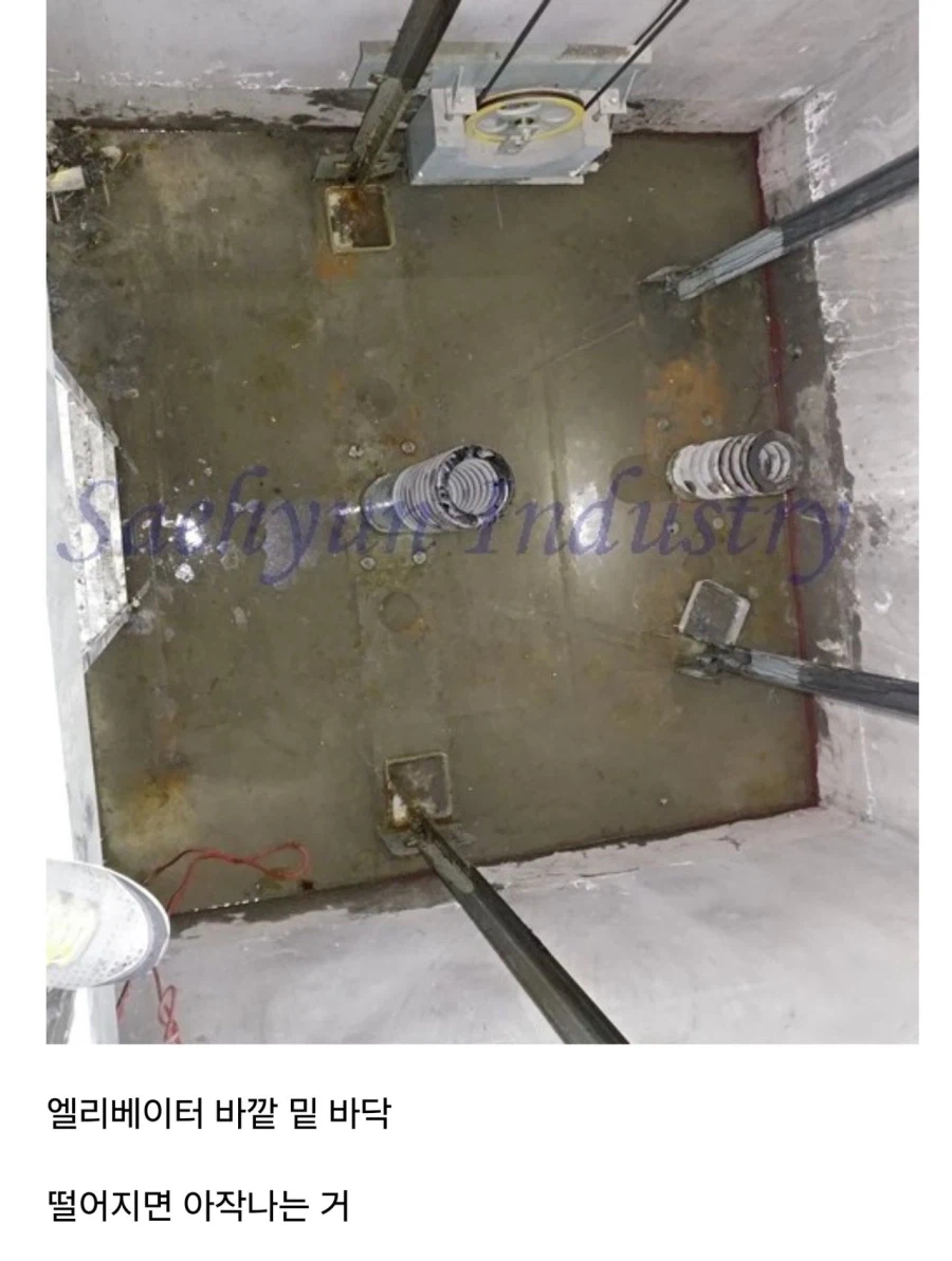 엘리베이터 기대지마시오 위험 체감짤_3.webp