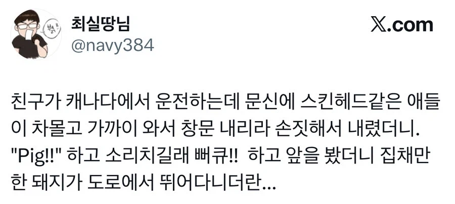 캐나다에서 스킨헤드가 갑자기 돼지돼지거림.jpg_1.webp