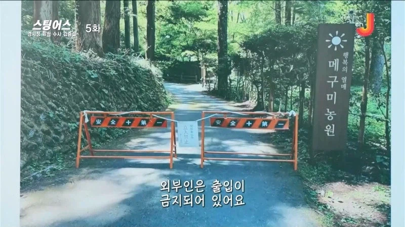 젊은 사람들 위주로 돌아가는 사이비종교의 정체_13.webp