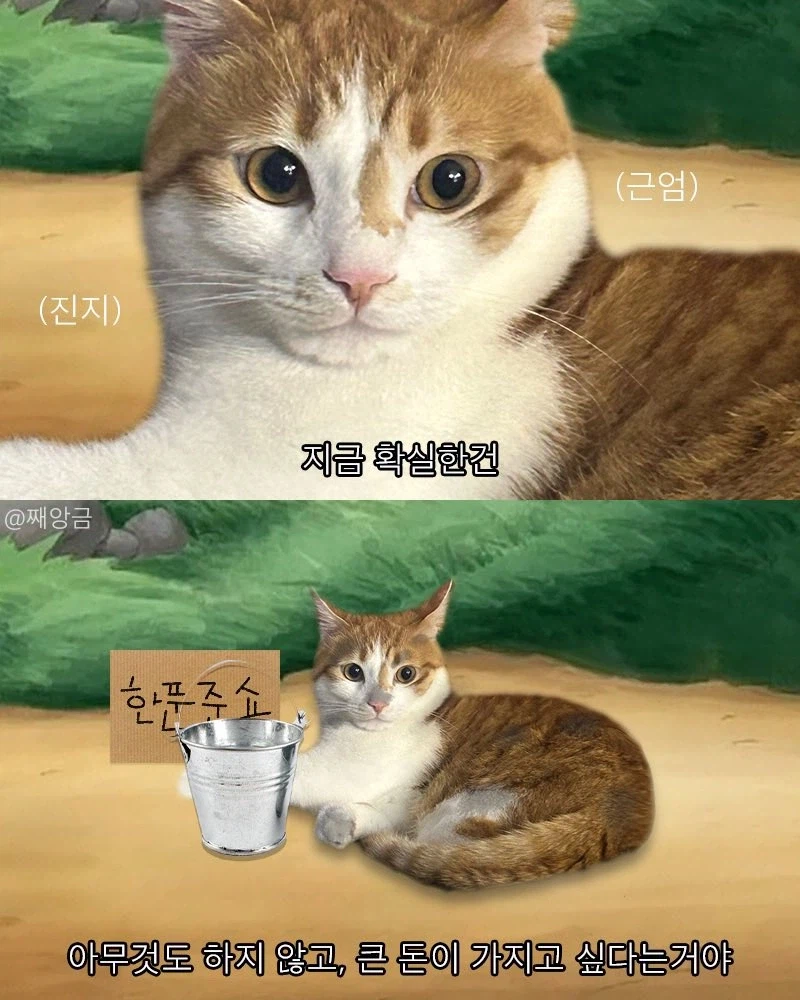 지금 당장 확실한 거는_1.webp