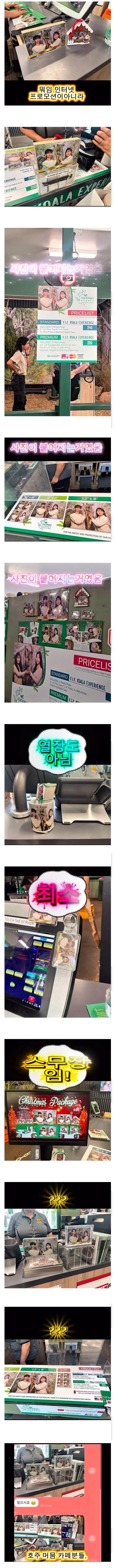 호주에서 공짜사진 찍은 한국인_3.webp