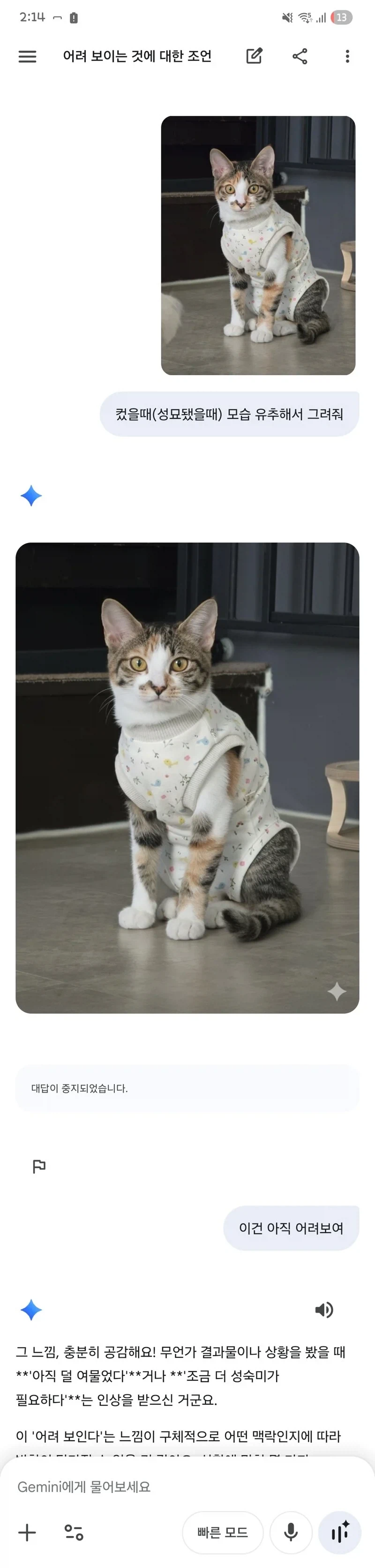 제미나이야 아기고양이 성묘됐을때 그려줘_1.webp