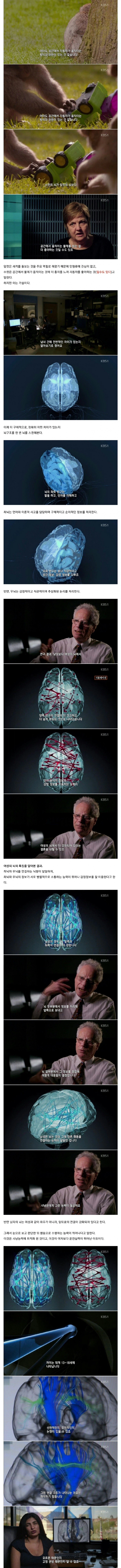 남자와 여자의 뇌구조 차이.jpg_2.webp