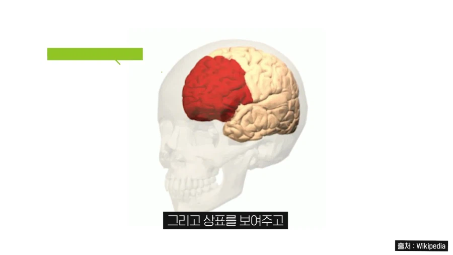코카콜라 VS 펩시콜라 대결이 만들고 밝혀낸 이미지_15.webp