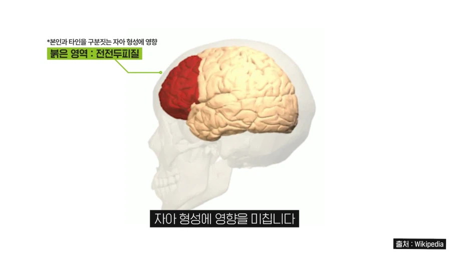 코카콜라 VS 펩시콜라 대결이 만들고 밝혀낸 이미지_19.webp