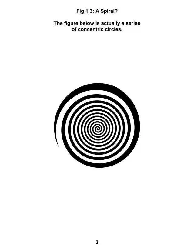 신비로운 착시의 세계_2.webp