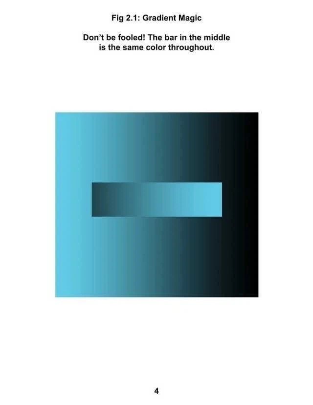 신비로운 착시의 세계_6.webp