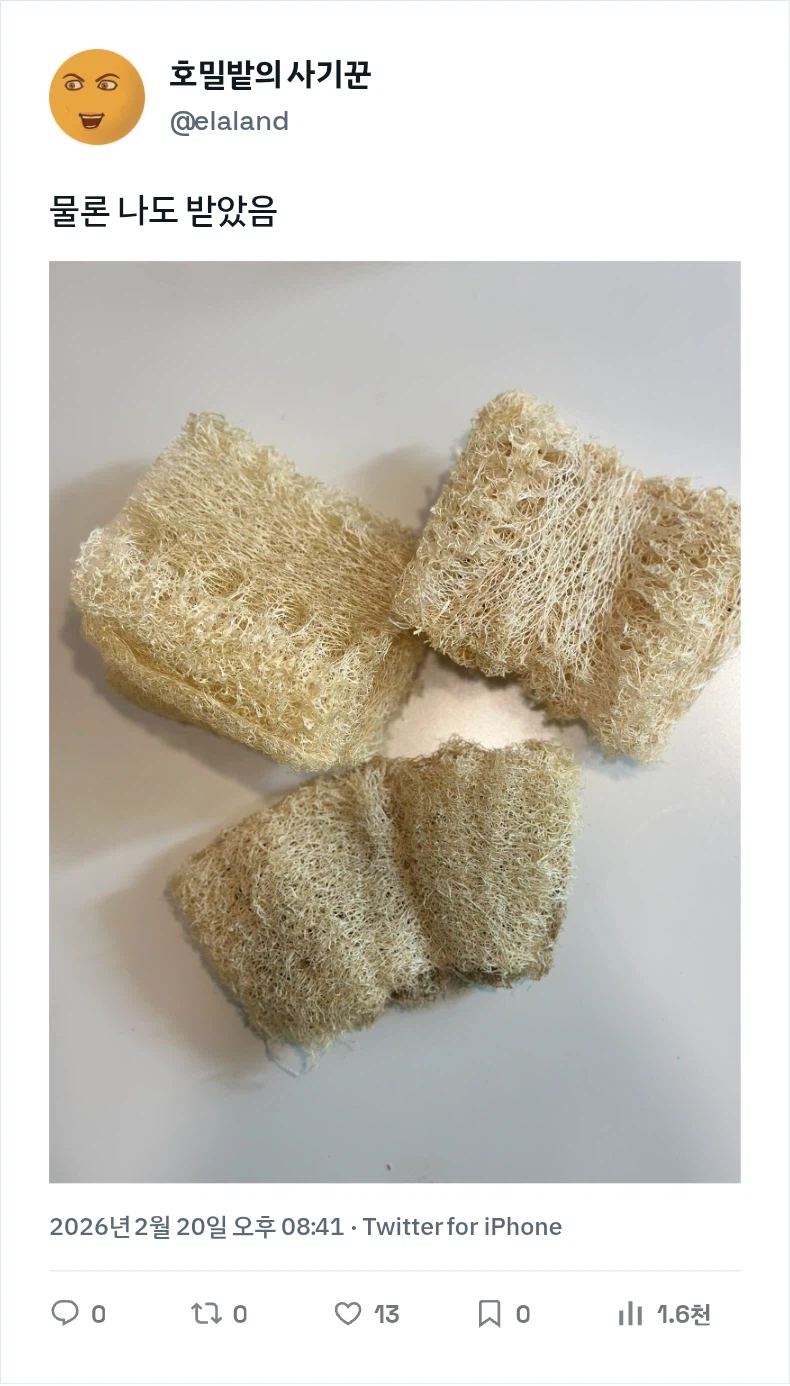 엄마가 만든 스펀지밥_2.webp