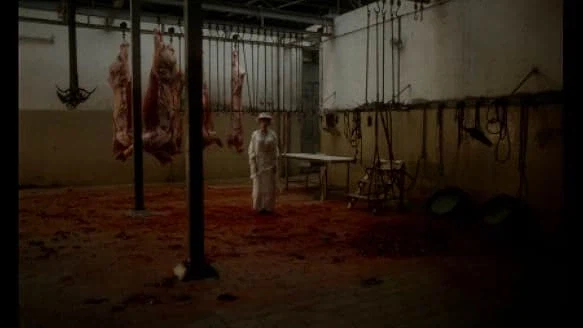 설정이 현실적이면서 독특한 뱀파이어 영화_2.webp