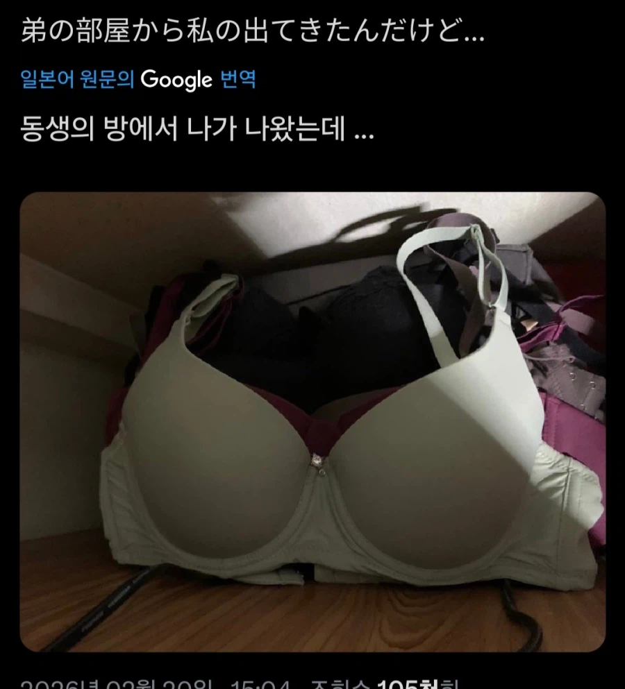 남동생 방에서 굉장한게 나온 일본사람_1.webp