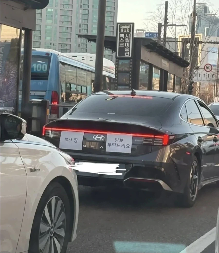 부산에 처음 간 운전자_1.webp