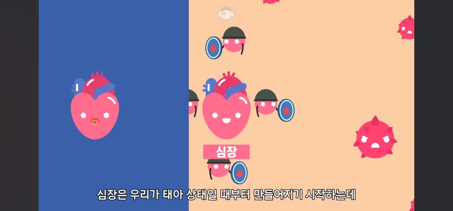 살면서 심장암이란 말을 들어볼 일이 없는이유_5.webp