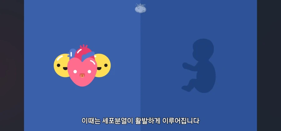 살면서 심장암이란 말을 들어볼 일이 없는이유_6.webp