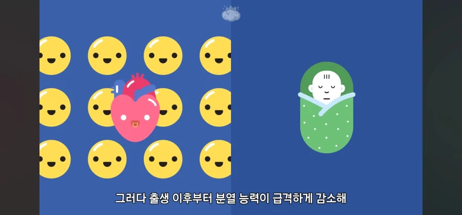 살면서 심장암이란 말을 들어볼 일이 없는이유_7.webp