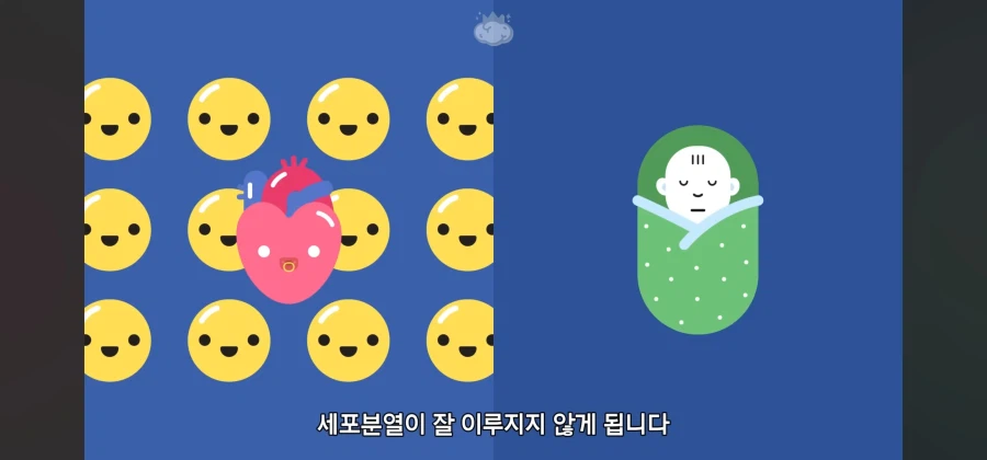 살면서 심장암이란 말을 들어볼 일이 없는이유_8.webp