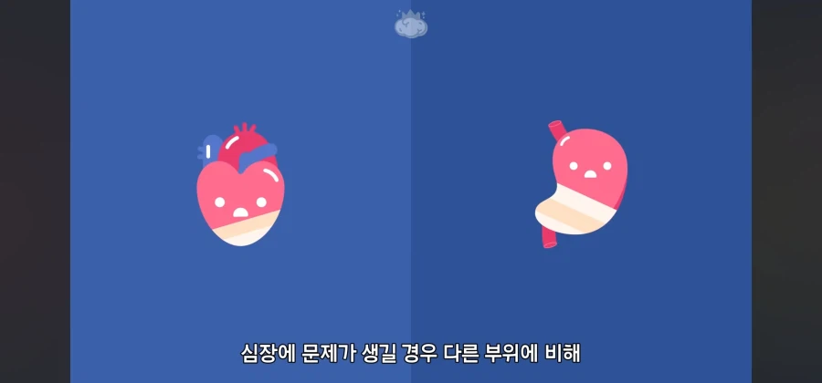 살면서 심장암이란 말을 들어볼 일이 없는이유_9.webp