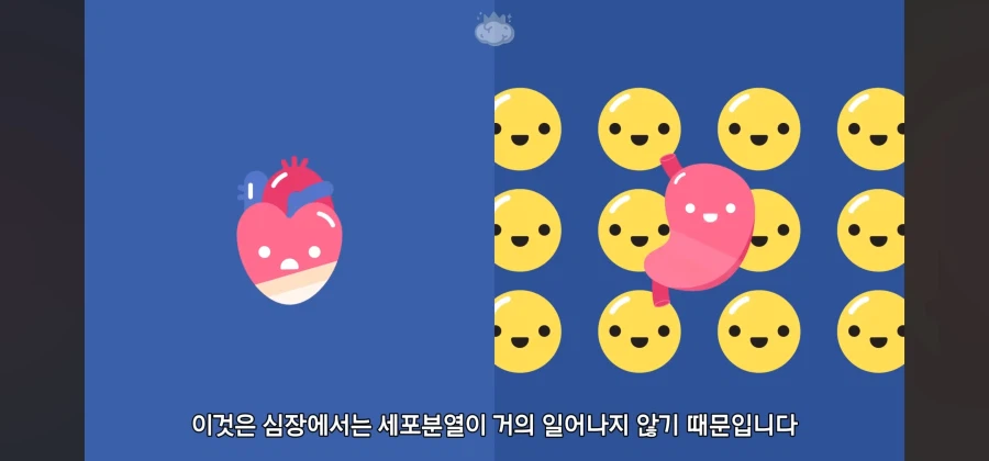 살면서 심장암이란 말을 들어볼 일이 없는이유_11.webp